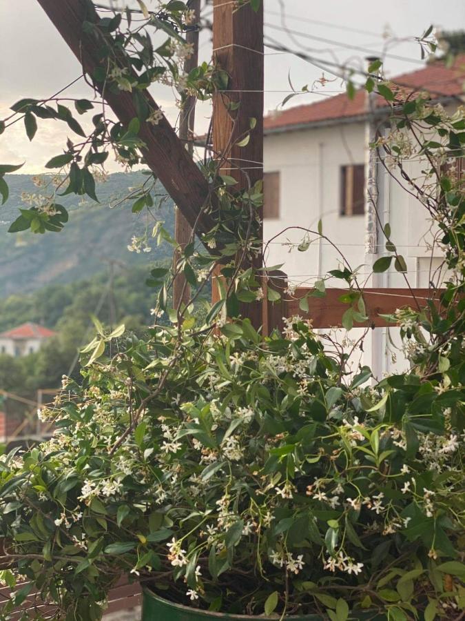 Karavos Hotel 波尔塔里亚 外观 照片